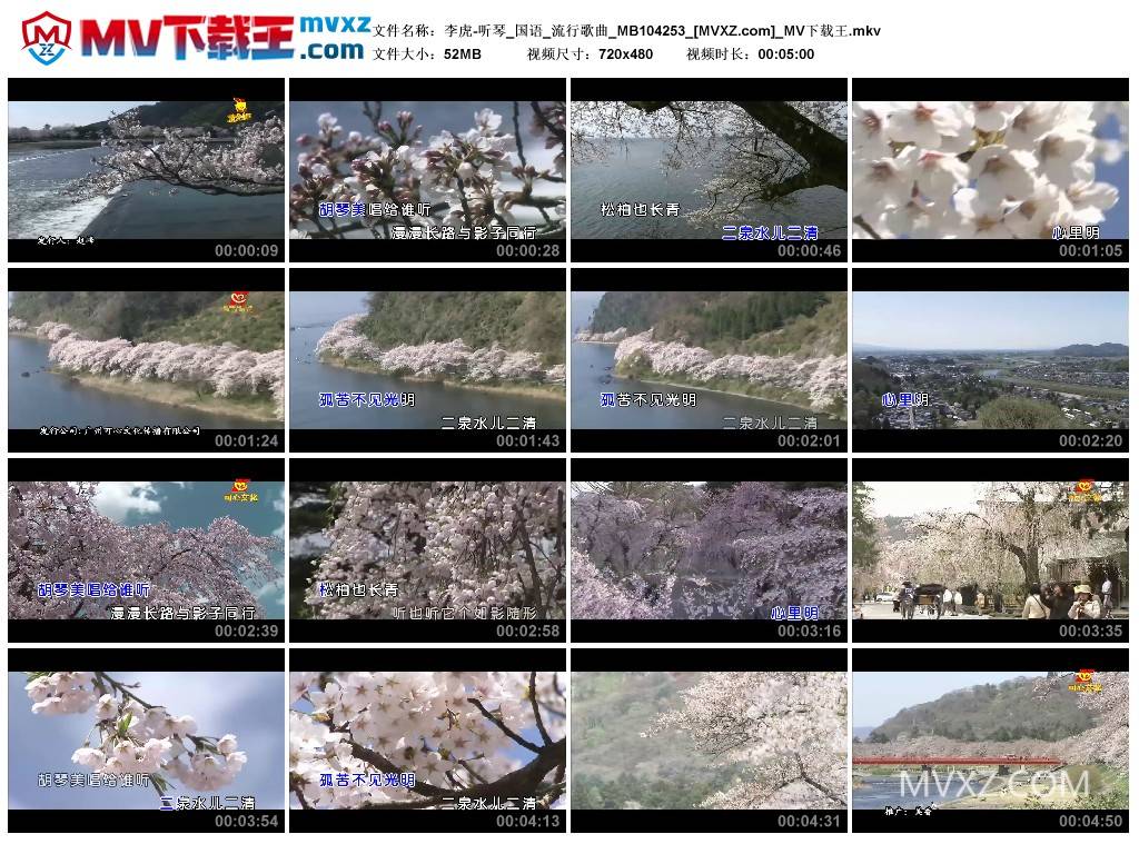 李虎-听琴_国语_流行歌曲_MB104253